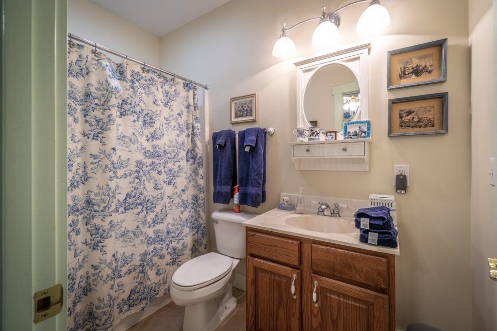 Blue Room private bathroom with shower and tub