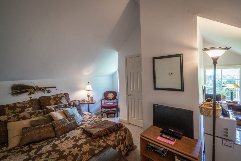 Leaf Room with king size bed, TV and mini refrigerator