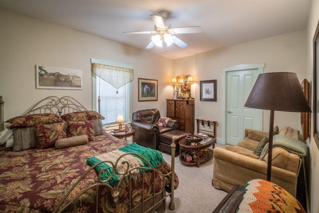 Tropical Room with animal print artwork